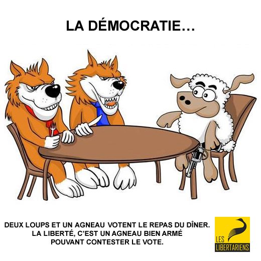 182342_536375789725466_600683504_n