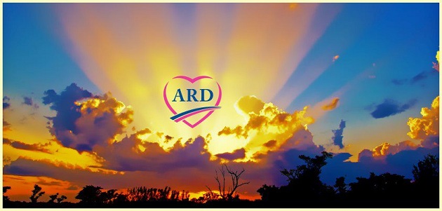 486179_551367048211486_117410599_n