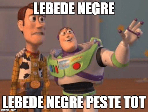 După o idee de Barbu Mateescu