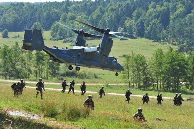 Swift-Response-Osprey