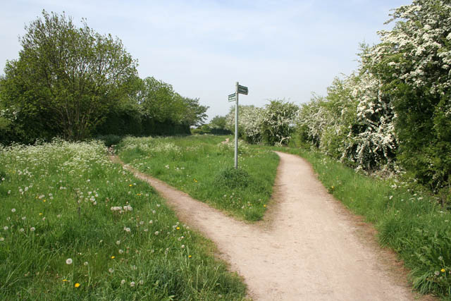 A_choice_of_public_right_of_way_-_geograph.org.uk_-_809502