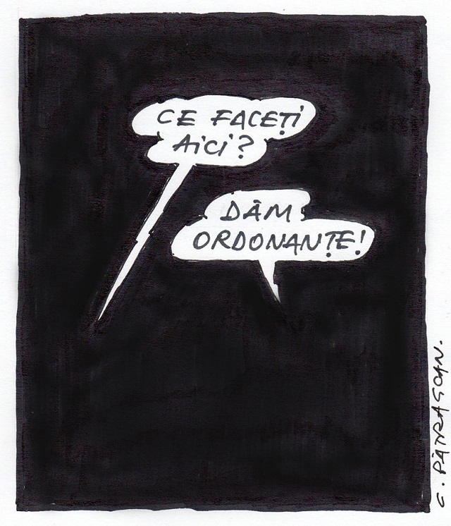 16388060_10212146461041817_5569496723475468269_n